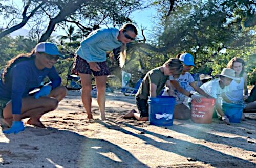 Hawai'i Wildlife Fund