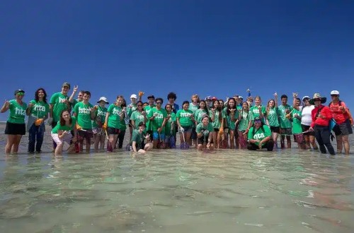 Hawaii Technology Academy